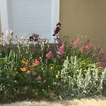 Mille Et Bulles 51 Bed & Breakfast Brugny-Vaudancourt