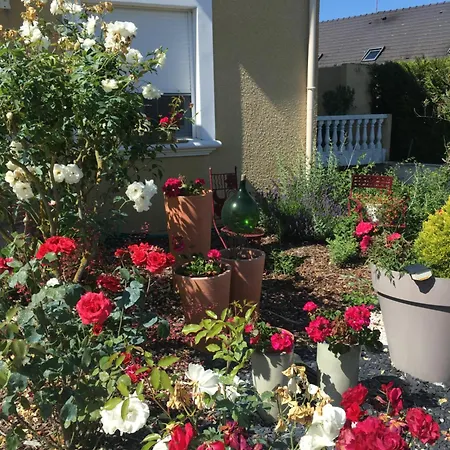 Bed & Breakfast Mille Et Bulles 51