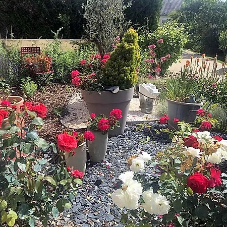 Bed & Breakfast Mille Et Bulles 51