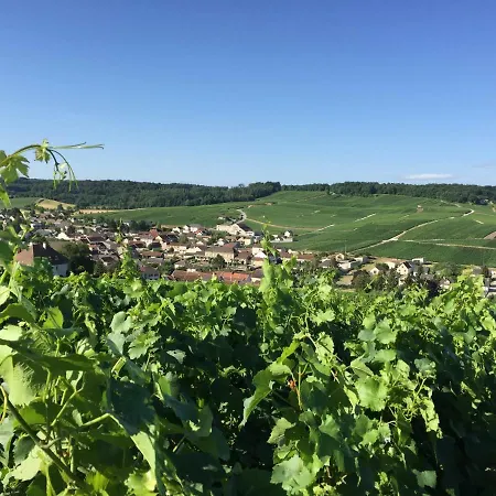 Bed & Breakfast Mille Et Bulles 51 3*