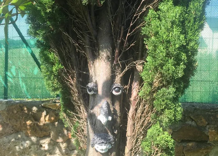 Couette-café Mille Et Bulles 51 Brugny-Vaudancourt