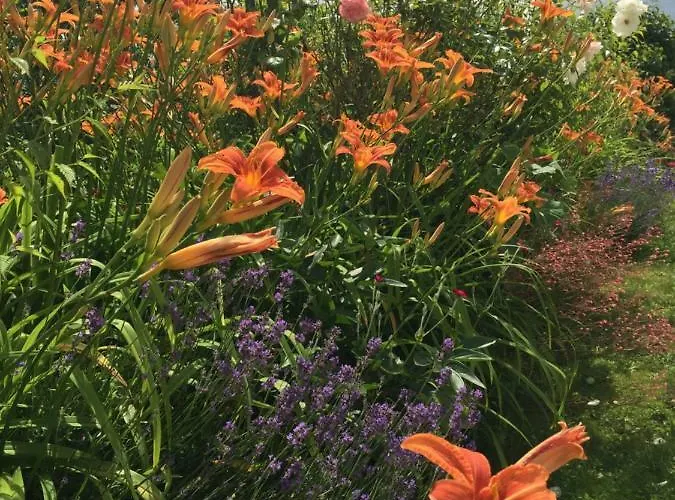 Mille Et Bulles 51 Bed & Breakfast